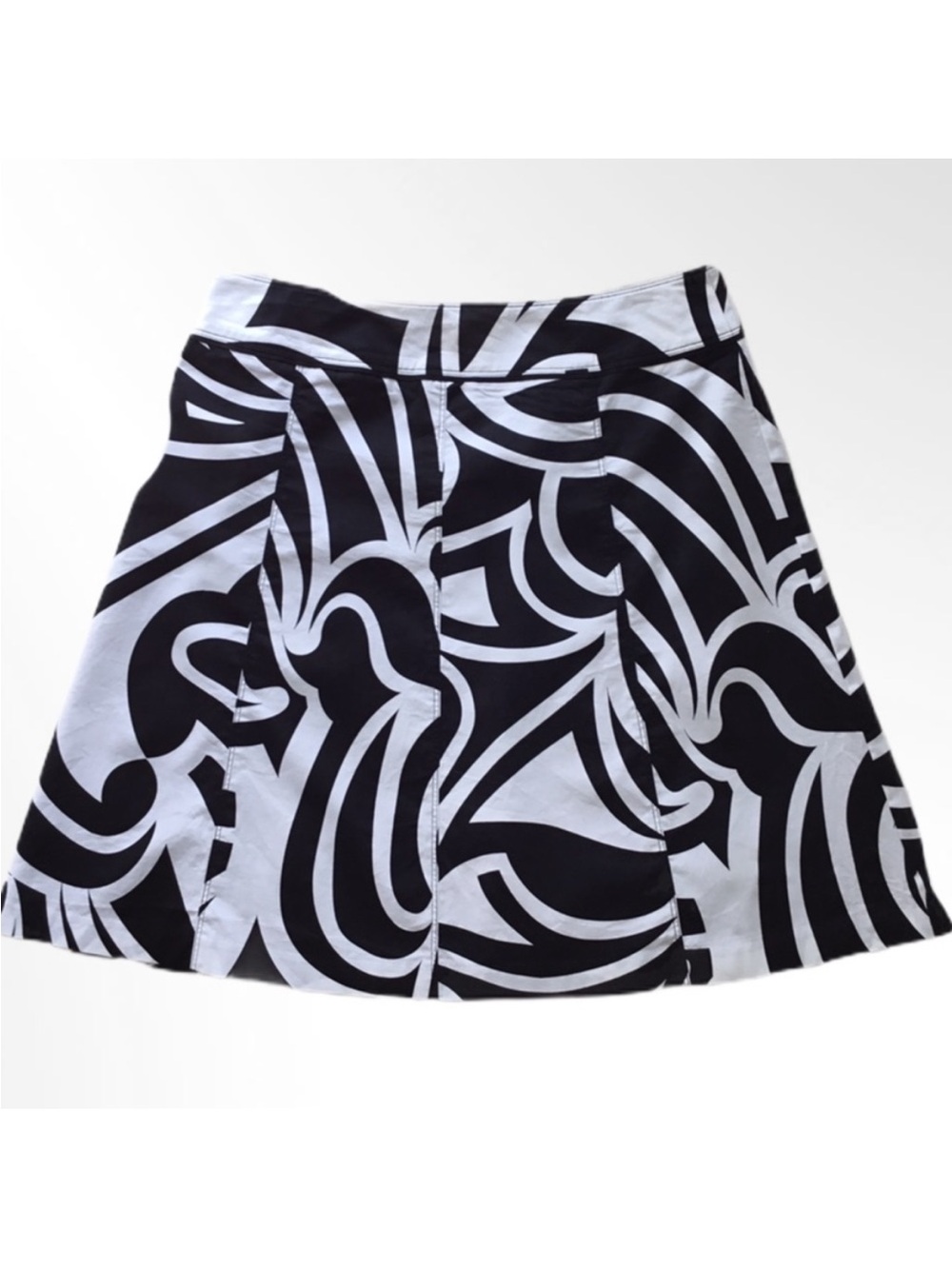 Ann Taylor Skirt, Size 10